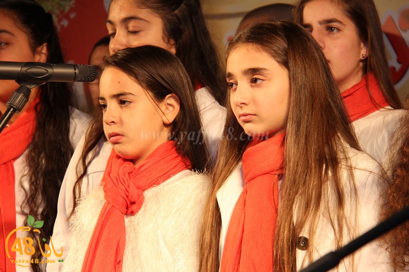 tree xrismass (53).JPG